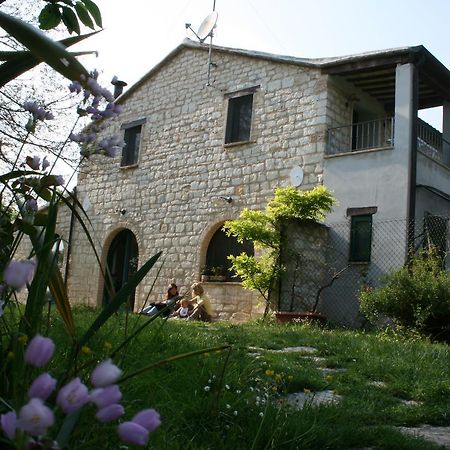 Bed and Breakfast Campo Del Mare Sirolo Zewnętrze zdjęcie