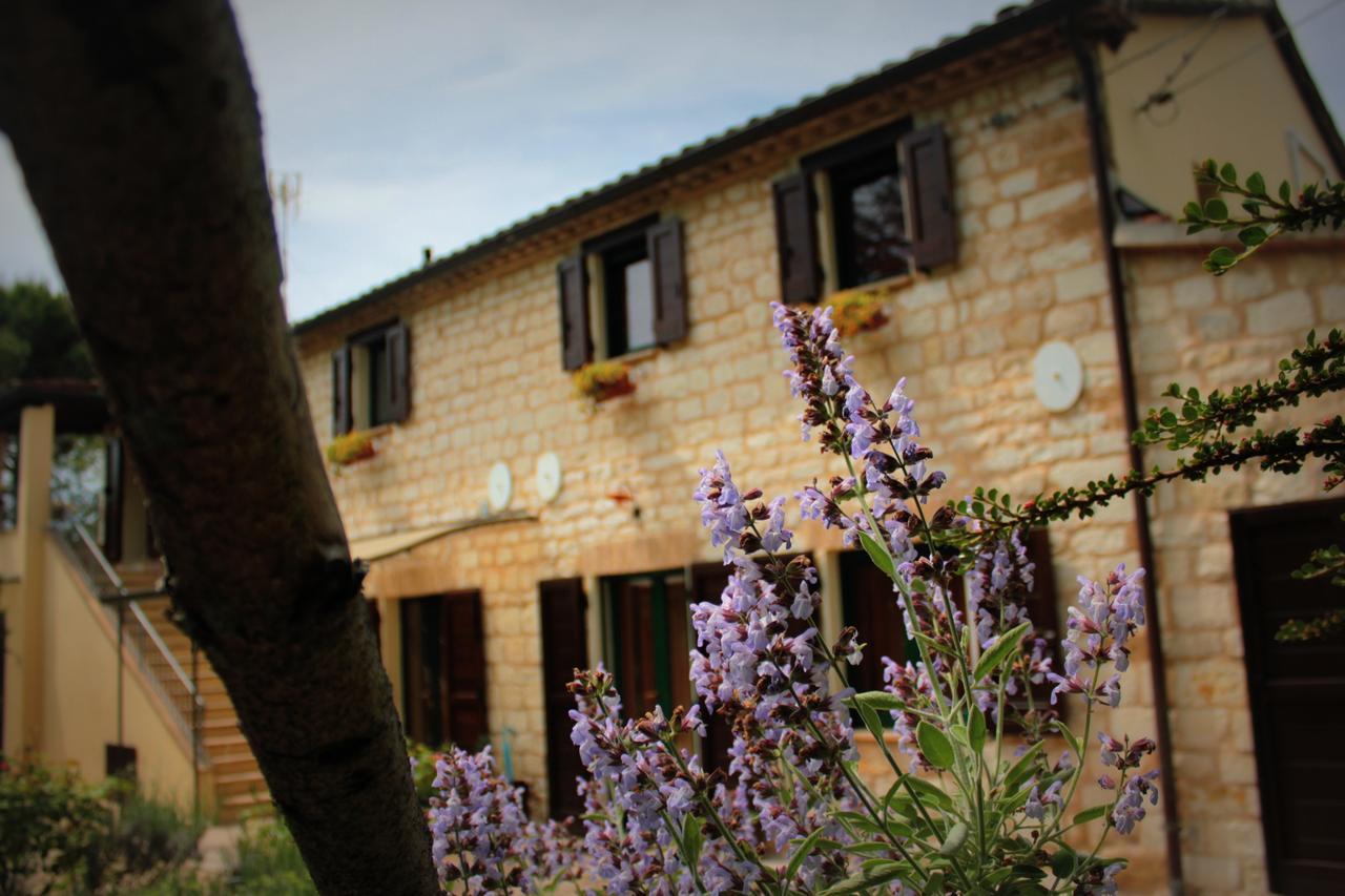 Bed and Breakfast Campo Del Mare Sirolo Zewnętrze zdjęcie